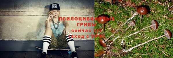амфетамин Алексеевка